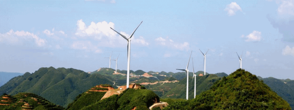 1711348805368560.gif 动图1.gif